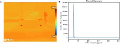 Dynamic Adjustment and Distinguishing Method for Vehicle Headlight Based on Data Access of a Thermal Camera